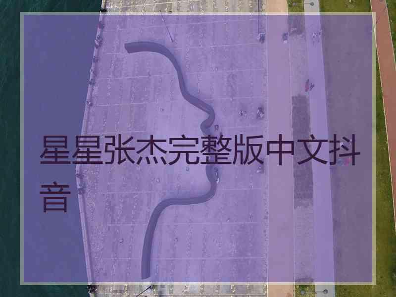 星星张杰完整版中文抖音