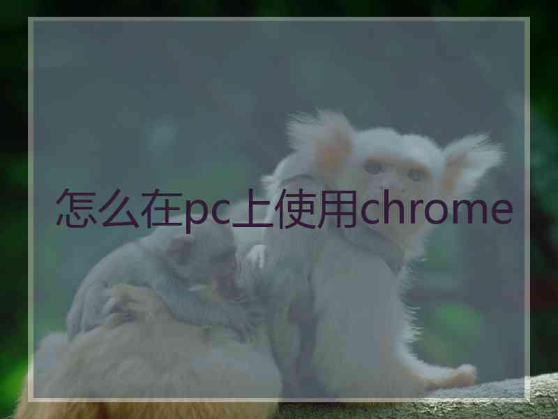 怎么在pc上使用chrome