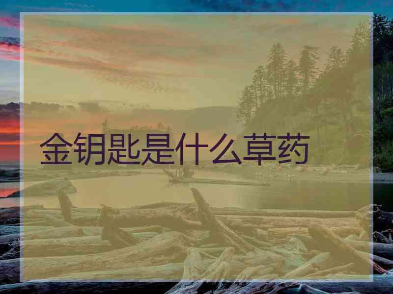 金钥匙是什么草药