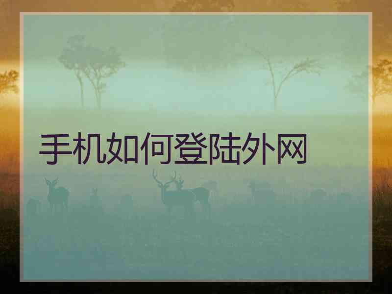 手机如何登陆外网