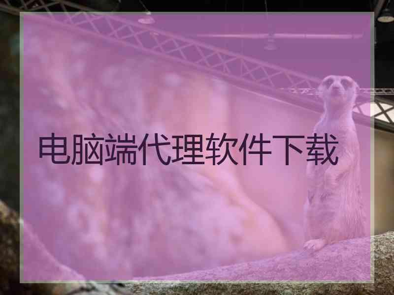 电脑端代理软件下载