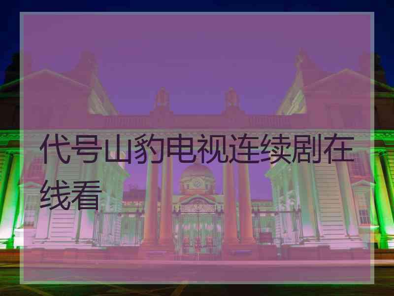 代号山豹电视连续剧在线看