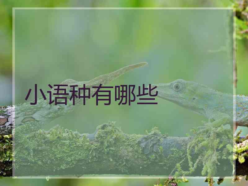 小语种有哪些