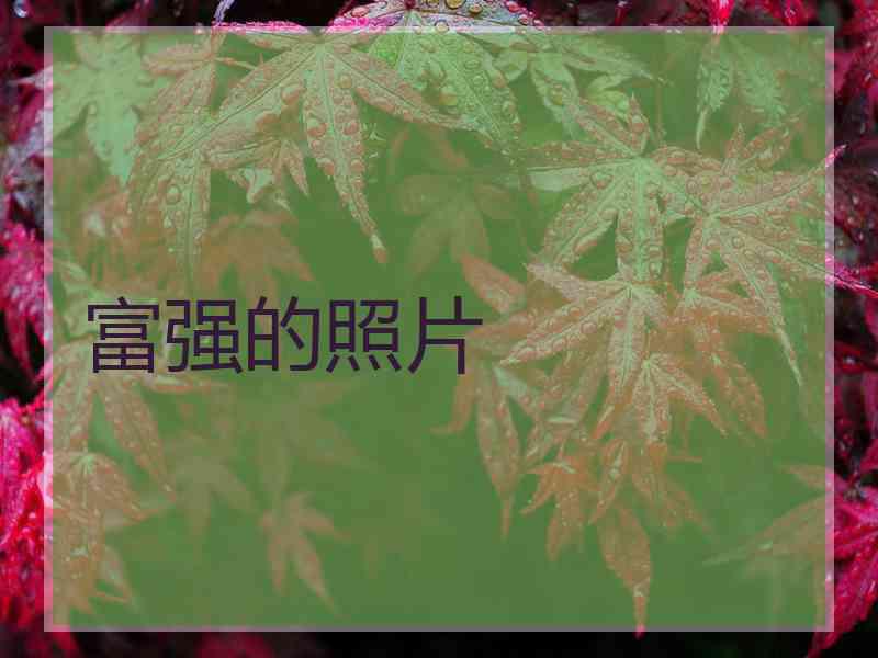 富强的照片