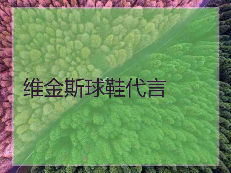 维金斯球鞋代言