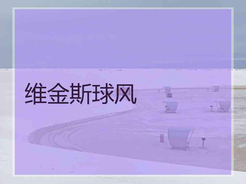 维金斯球风