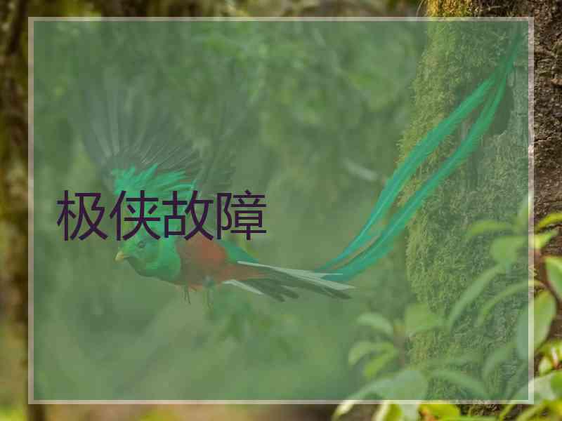 极侠故障