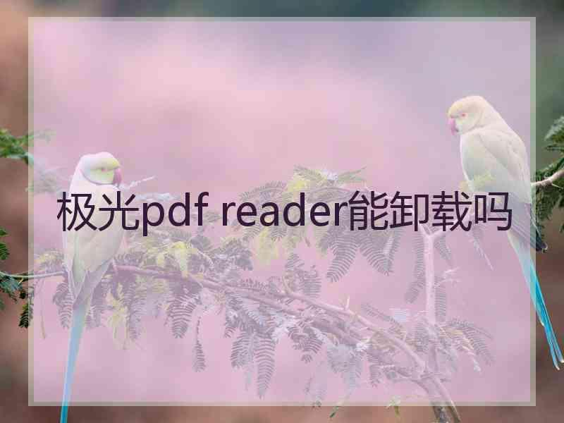 极光pdf reader能卸载吗