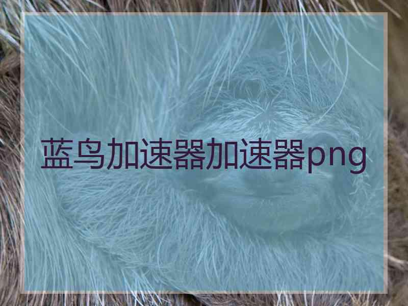 蓝鸟加速器加速器png