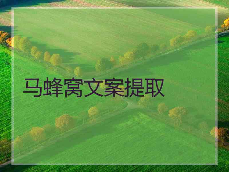 马蜂窝文案提取