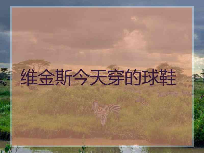 维金斯今天穿的球鞋