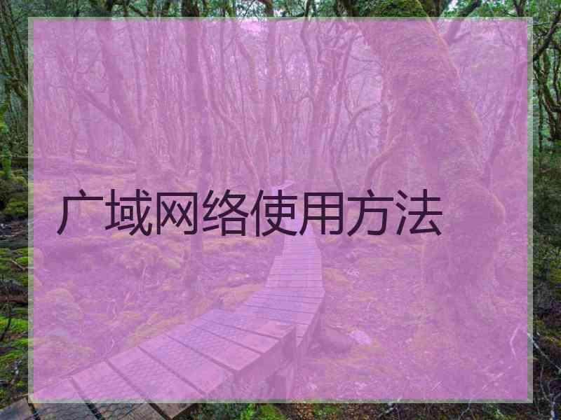 广域网络使用方法