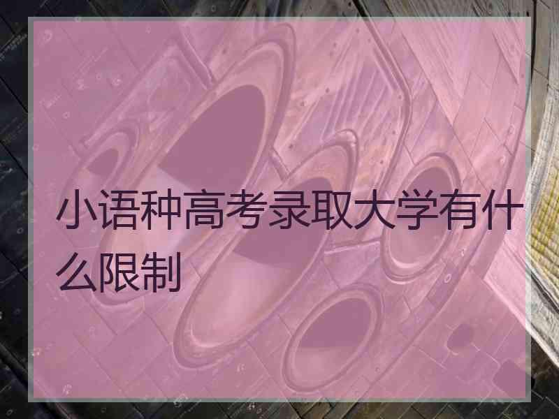 小语种高考录取大学有什么限制