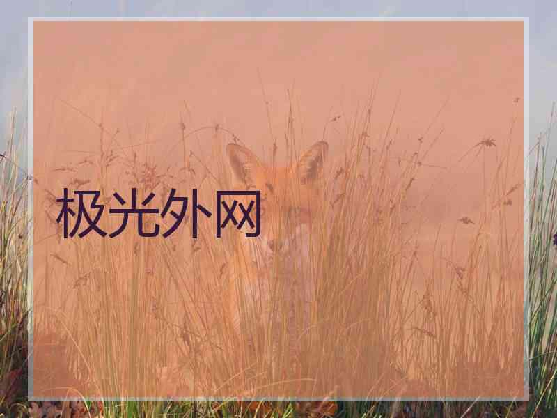 极光外网