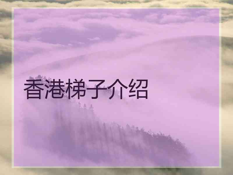 香港梯子介绍