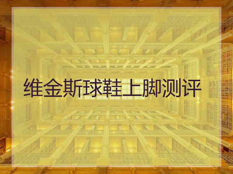 维金斯球鞋上脚测评