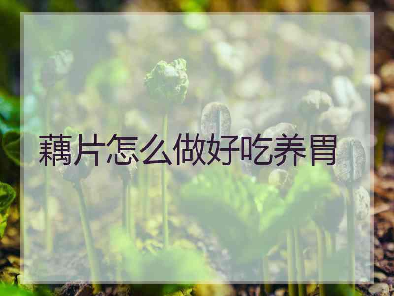 藕片怎么做好吃养胃