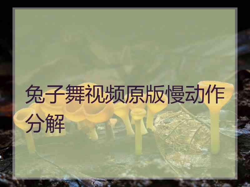 兔子舞视频原版慢动作分解