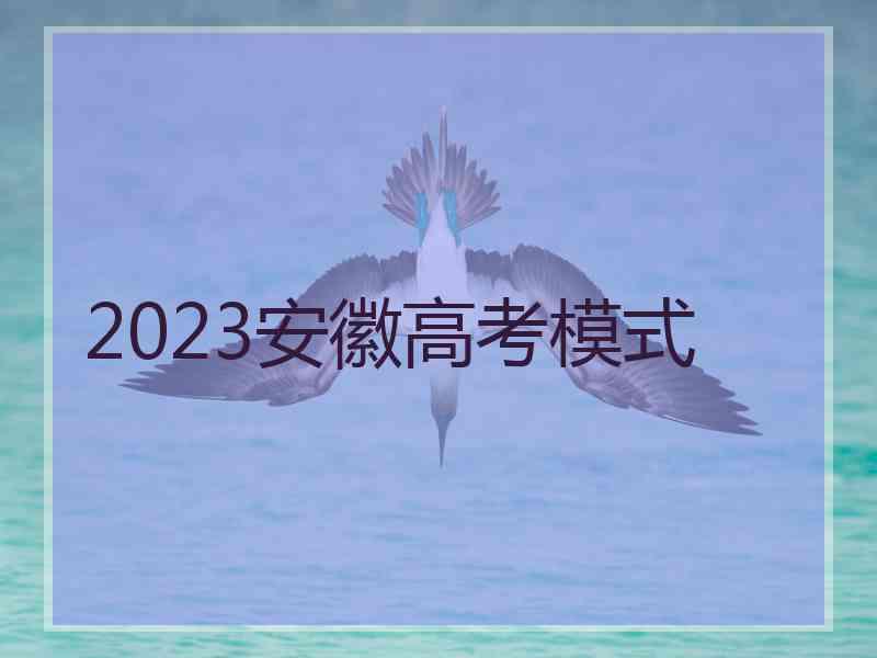 2023安徽高考模式