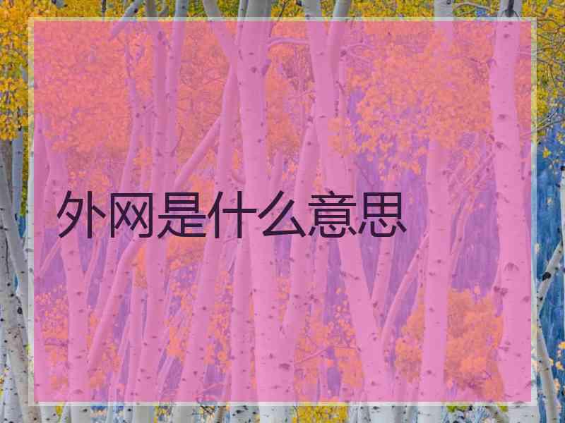 外网是什么意思