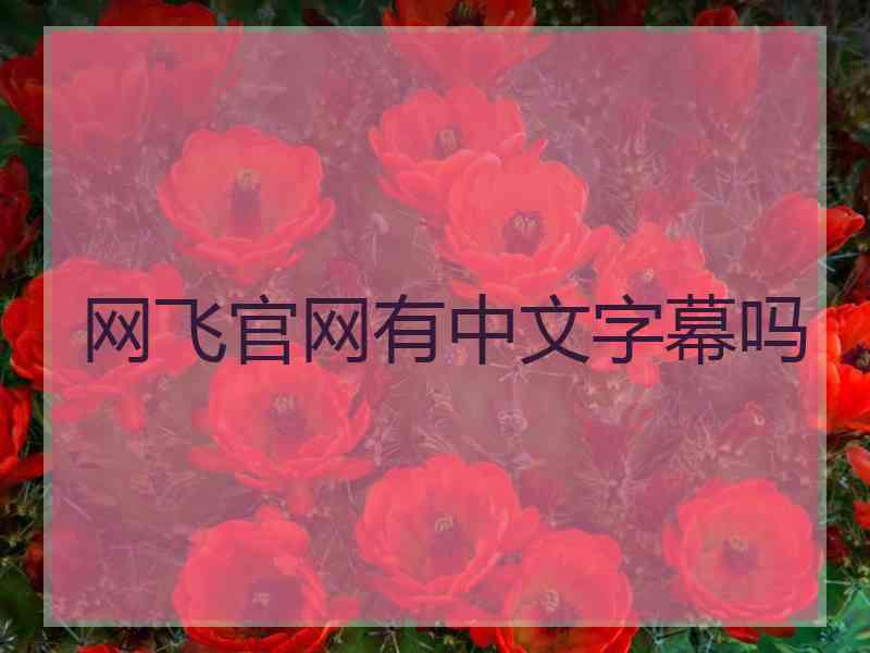 网飞官网有中文字幕吗