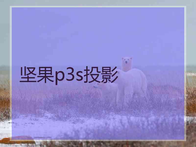 坚果p3s投影