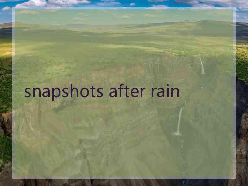 snapshots after rain