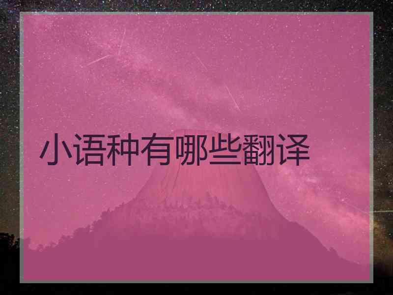 小语种有哪些翻译