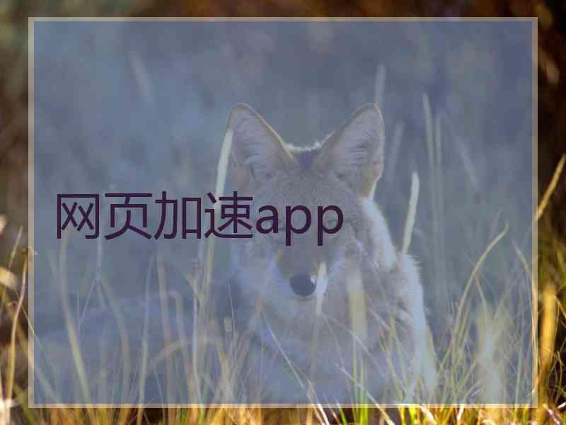 网页加速app