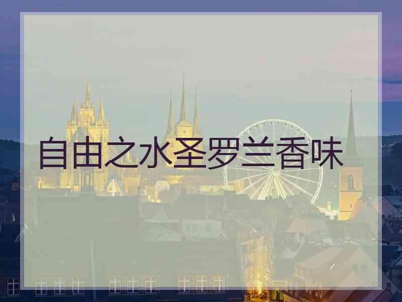 自由之水圣罗兰香味