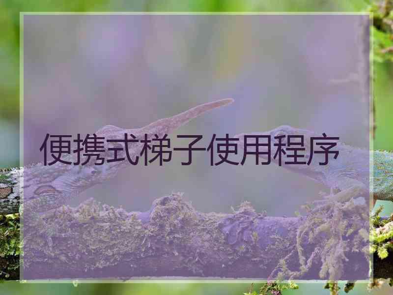 便携式梯子使用程序