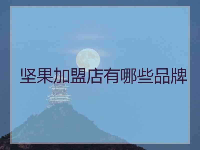 坚果加盟店有哪些品牌