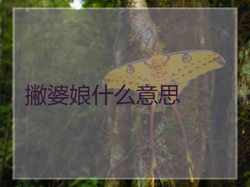撇婆娘什么意思