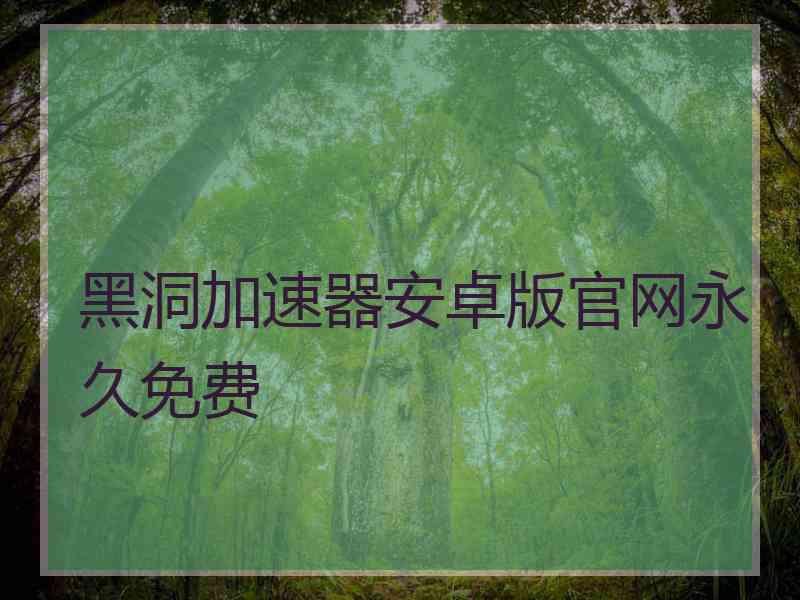 黑洞加速器安卓版官网永久免费
