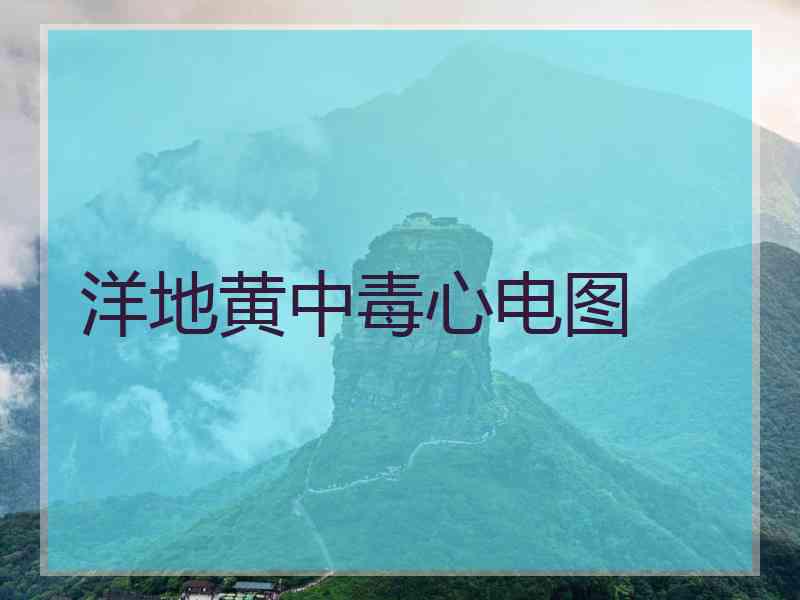 洋地黄中毒心电图