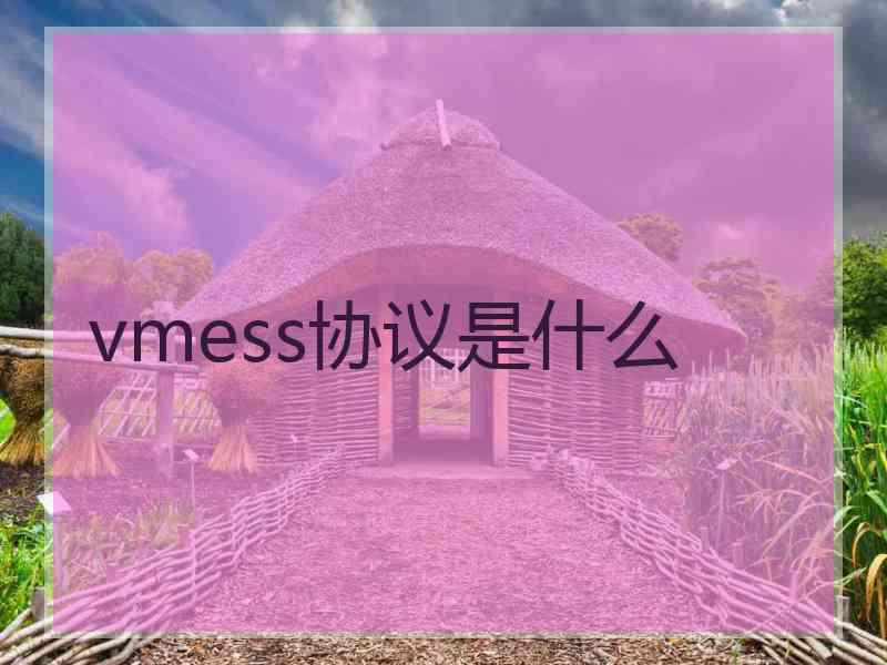 vmess协议是什么
