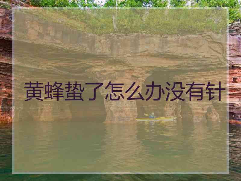 黄蜂蛰了怎么办没有针