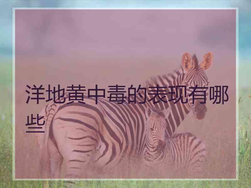 洋地黄中毒的表现有哪些