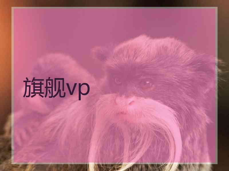 旗舰vp