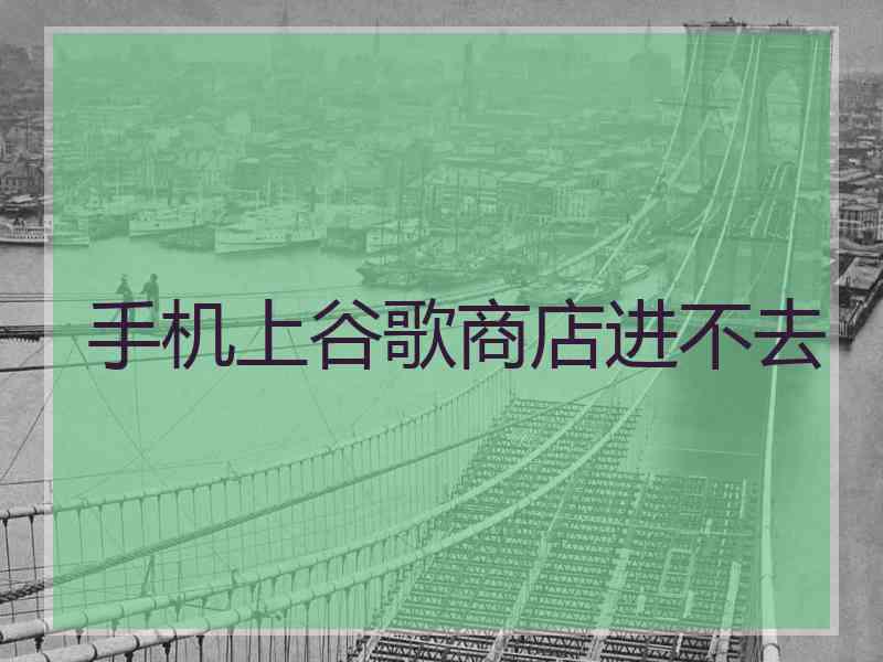 手机上谷歌商店进不去