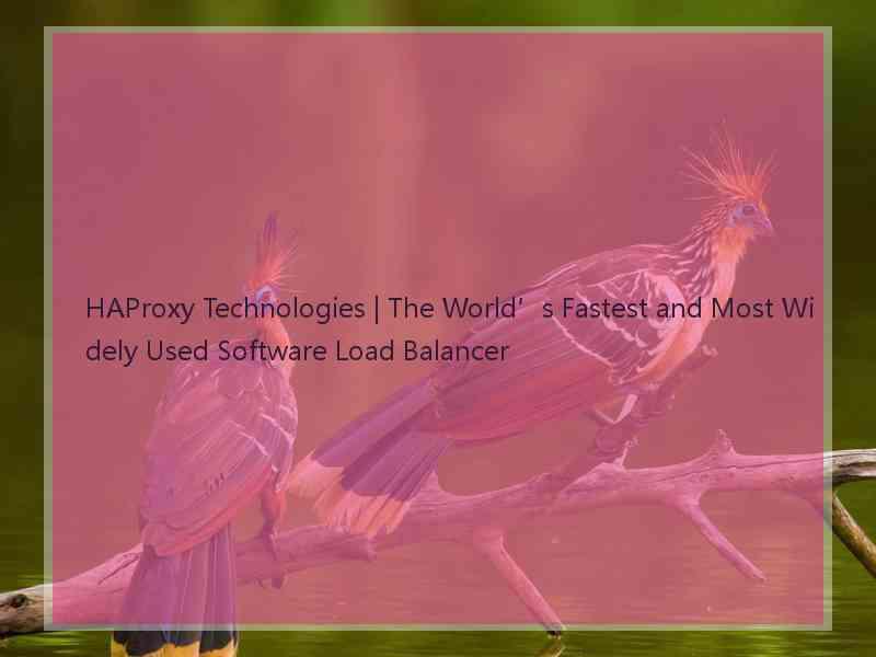 HAProxy Technologies | The World’s Fastest and Most Widely Used Software Load Balancer