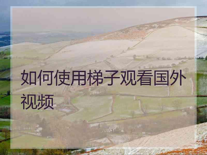 如何使用梯子观看国外视频