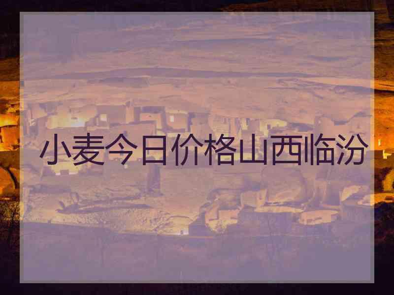 小麦今日价格山西临汾