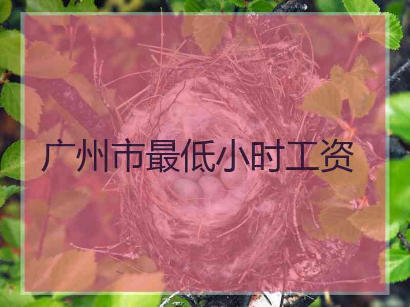 广州市最低小时工资
