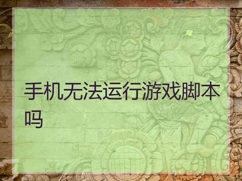 手机无法运行游戏脚本吗