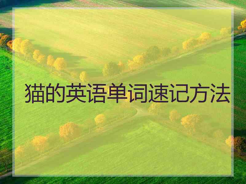猫的英语单词速记方法