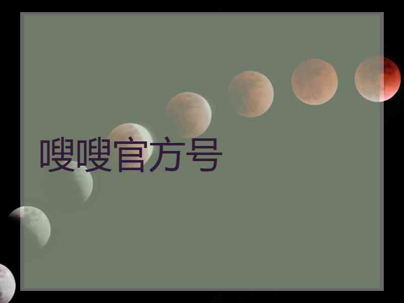 嗖嗖官方号