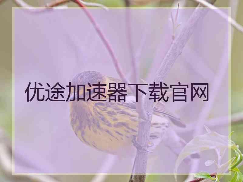 优途加速器下载官网