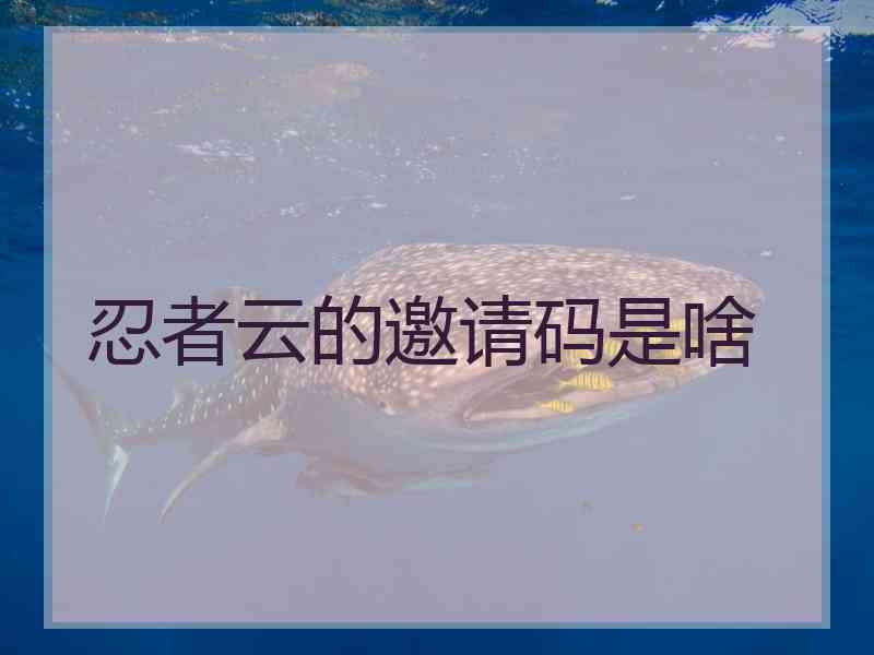忍者云的邀请码是啥