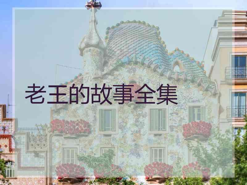 老王的故事全集